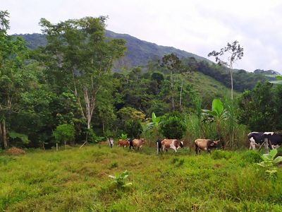 La Soledad