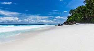 Playa de arena blanca bordeada por vegetación tropical en North Island, Seychelles, con aguas turquesas y tranquilas del océano Índico al fondo.