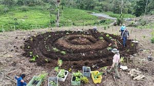 Vista aérea de cuatro personas plantando un jardín en espiral en una ladera cubierta de hierba.