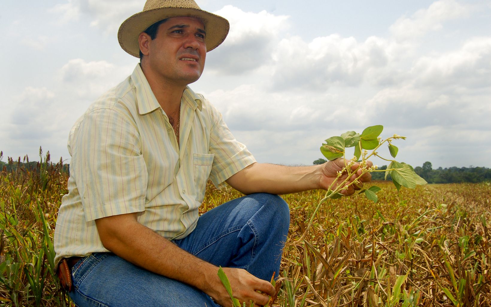 (NO USE WITHOUT PERMISSION-INTERNAL RIGHTS ONLY: Contact brazilphotos@tnc.org)
Pio Stefanelo, photographed at his farm in Santarm, Brazil, is a participant in the Responsible Soy project in the Amazon. Mr. Stefanelo produces sorghum, soy, rice, and also keeps bees on his farm to produce honey. PHOTO CREDIT: © Fernanda Preto