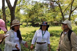 líder del equipo de mitigación de TNC Colombia, durante el taller práctico de socialización del protocolo de monitoreo de carbono. 