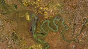 mejor las tendencias y los posibles cambios en este ecosistema estratégico es crucial tanto para la naturaleza como para las personas.