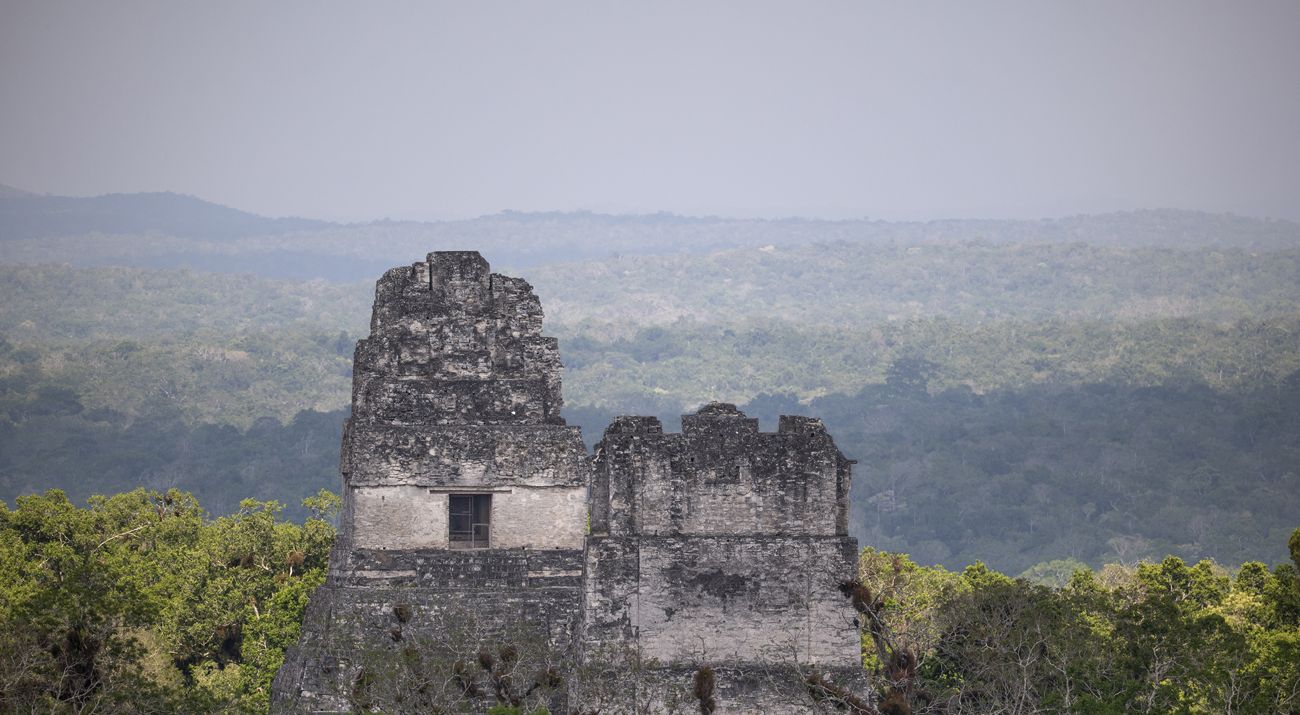 Ruinas de una pirámide maya con un paisaje de selva en fondo.