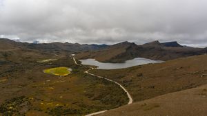 son como “islas” de tierras altas, por eso hay tanta diversidad en áreas relativamente pequeñas.
