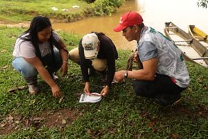 Tres pescadores agachados midiendo el tamaño de un pez.