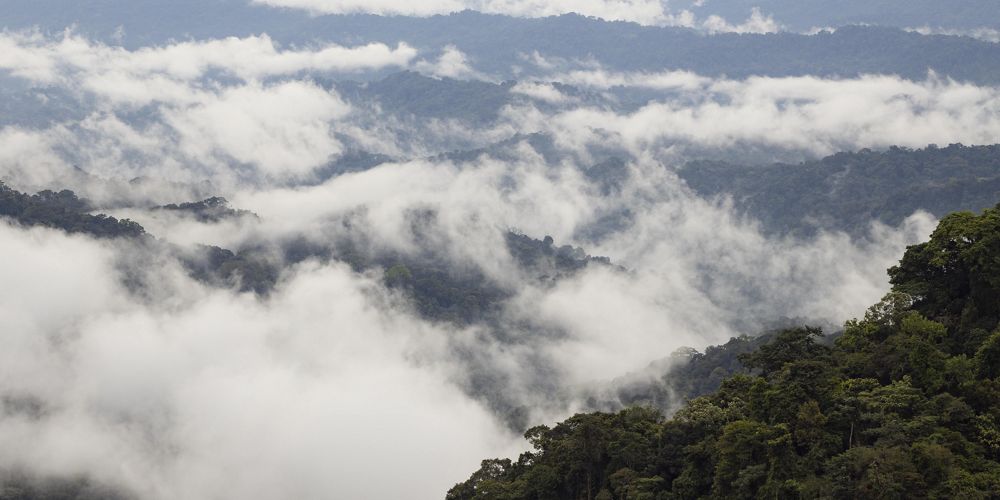 Vista nublada del Amazonías desde arriba.