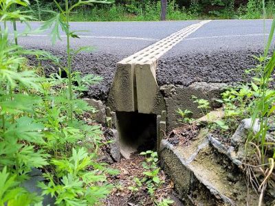 Túnel bajo una calle pavimentada para que los anfibios puedan cruzar sin riesgo.