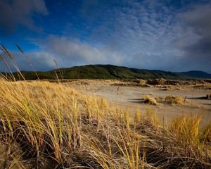 Vista de la Reserva de Valdivia