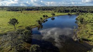Vista aerea de sabanas y rios.