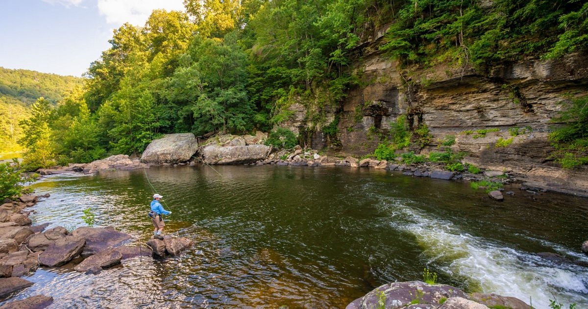 Sam R. Murphy Wma Alabama Resilient Lands | The Nature Conservancy
