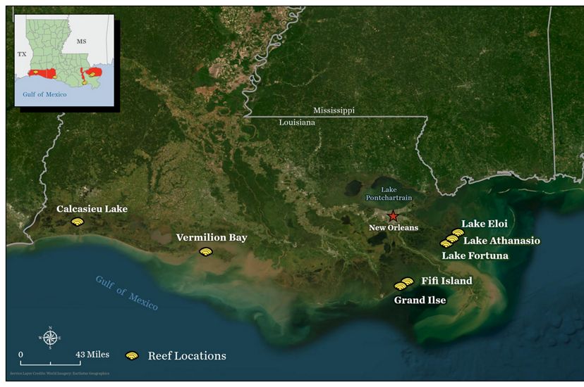 A map highlights places along the coast of a land area in Louisiana.