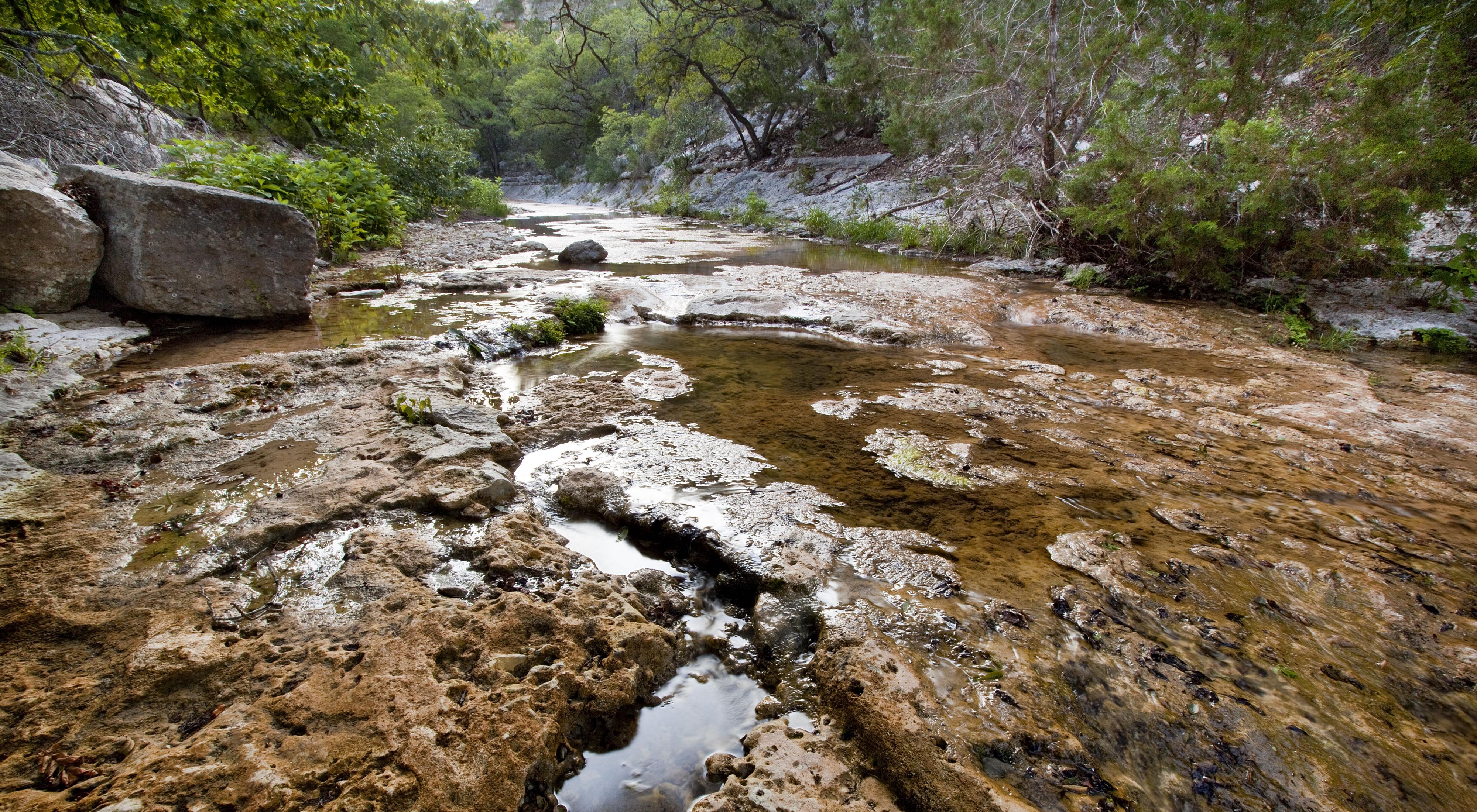 A creek flows over limestone boulders surrounded by trees.