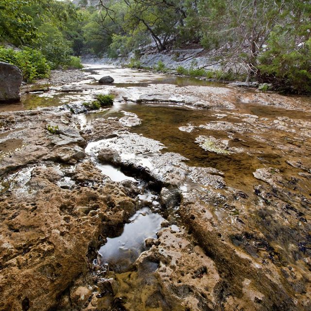 A creek flows over limestone boulders surrounded by trees.