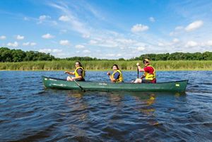 Three people in yellow life jackets kayaking in Lulu Lake Preserve in the Milwaukee, Mukwonago River Watershed in July 2017.
