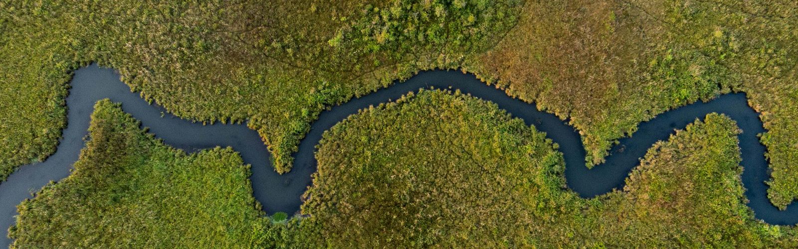 Aerial of dense forest carved by a curving blue river