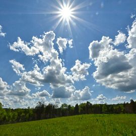 View of meadow and sunny sky.