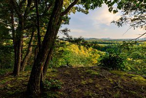 View from a ledge at Greene Swamp Preserve, of the farmland around the Connecticut River and Mount Tom in the distance.