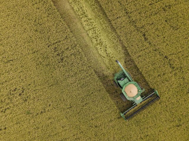 Aerial view looking straight down on a green tractor plowing a rice field, leaving a bare swath in its path.