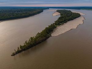 Aerial view of a long, narrow forested island in the middle of the wide Mississippi River.