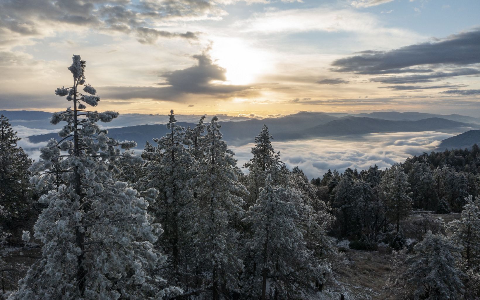 
                
                  Bear Mountain A rare cold storm sweeps over California in late April and covers the pine trees atop Bear Mountain in a coat of white in Tehachapi, California United States.
                  © Tyler Schiffman
                
              