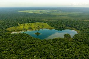 A body of water is surrounded by a vast forest in Belize.