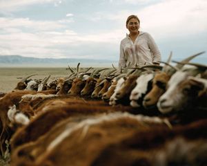 A herder stands behind her herd of goats in Mongolia.