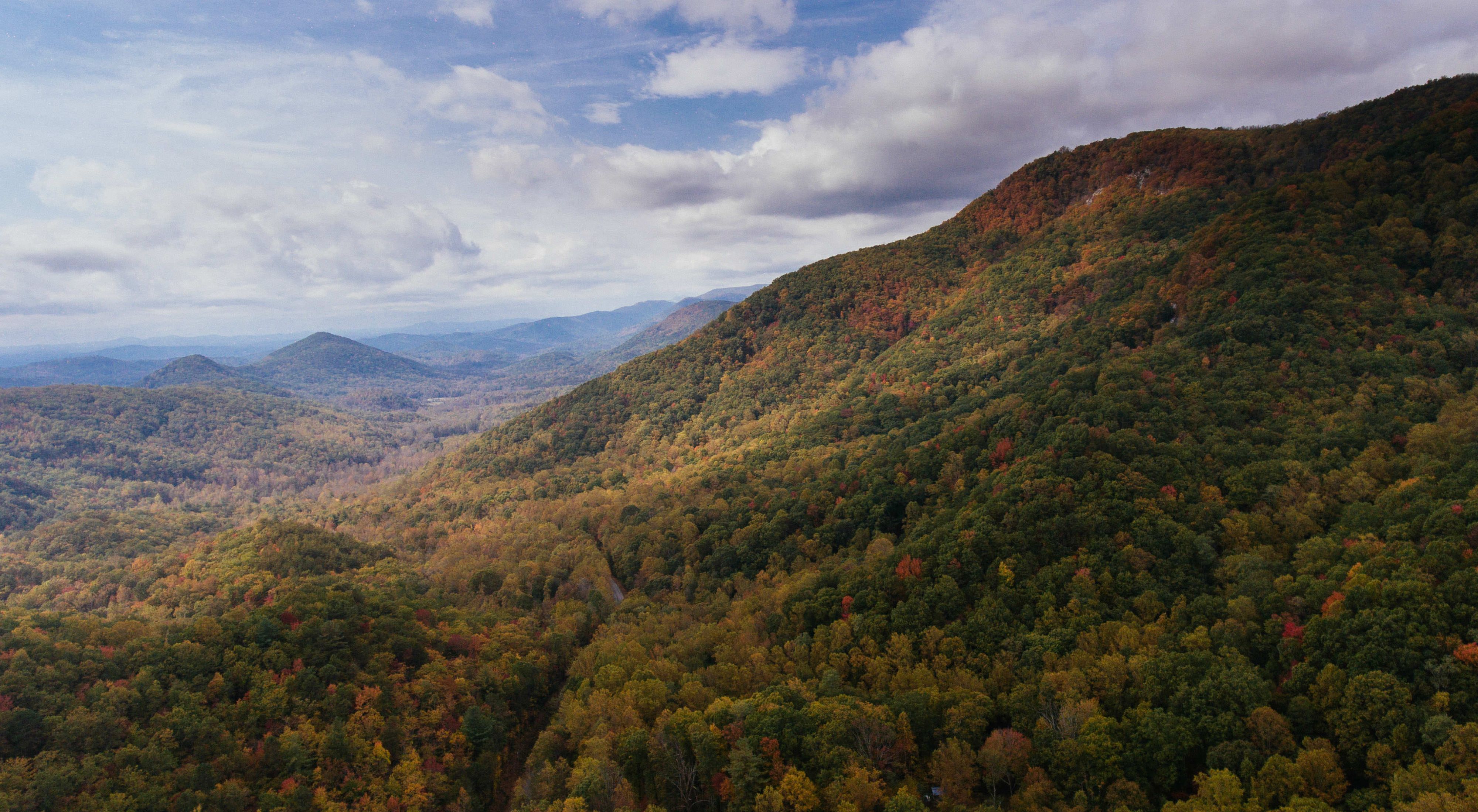 Aerial view of autumn color on forested mountain slopes.