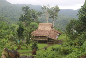 A typical house in a village in the Solomon Islands, with a roof made from Sago palm tree leaves and surrounded by lush forest and mountains.