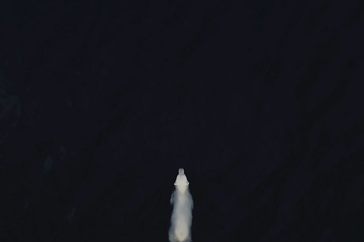 A polar bear swims in black water.