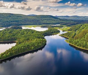 Aerial view of snaking rivers winding and branching through dense green forests.