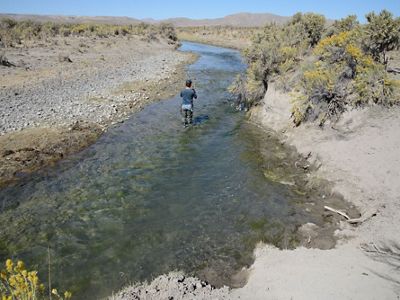 A person standing in a stream. 