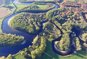 A river winding through a green landscape.