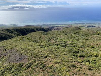Aerial view of a stretch of forested land extending to the sea in Hawaii.