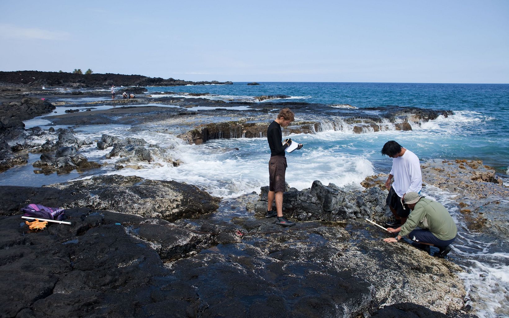 Researchers working on Kohala Coast shoreline. 