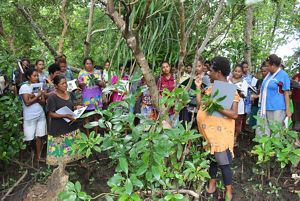for ecological training for women in Alotau in Milne Bay, Papua New Guinea. The women learned about different mangrove species and how to restore them.