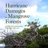Cover of a TNC report called Hurricane Damages to Mangrove Forests and Post-Storm Restoration Techniques and Costs showing a large mangrove with tangled branches on the edge of a body of water.