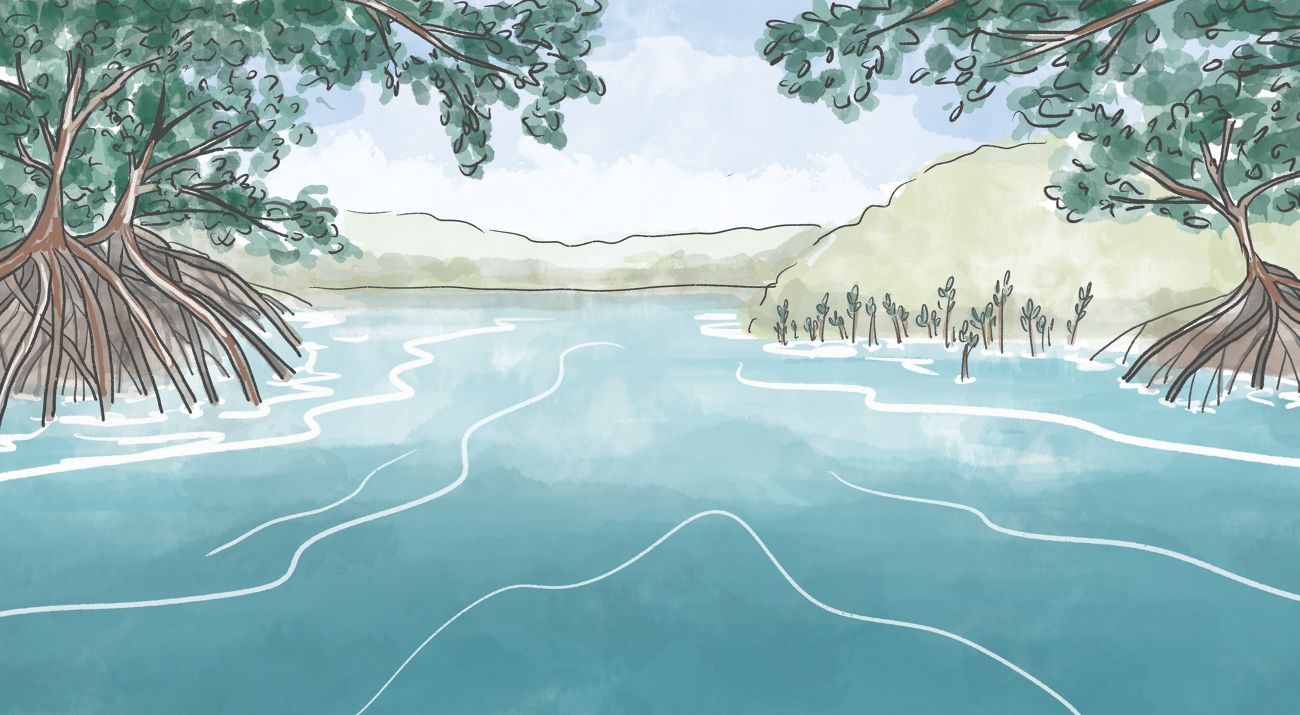 An illustration of a wide channel of blue water flowing between mangrove trees.
