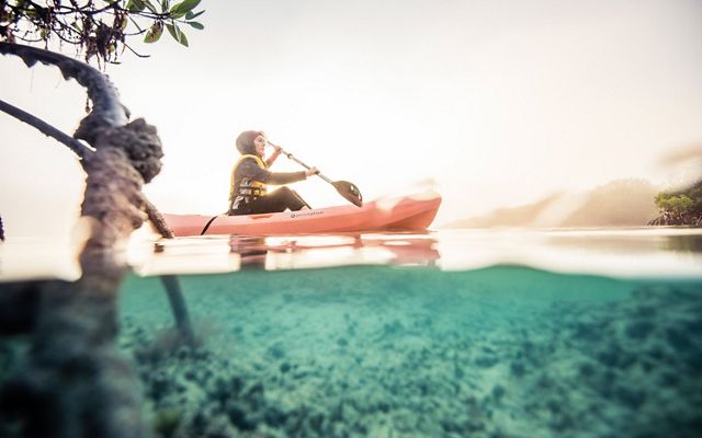 Una persona navega en  kayak entre manglares
