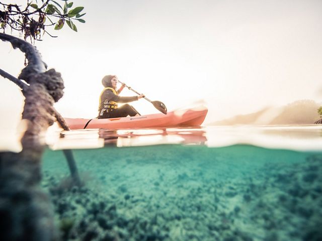 Una persona navega en kayak entre manglares