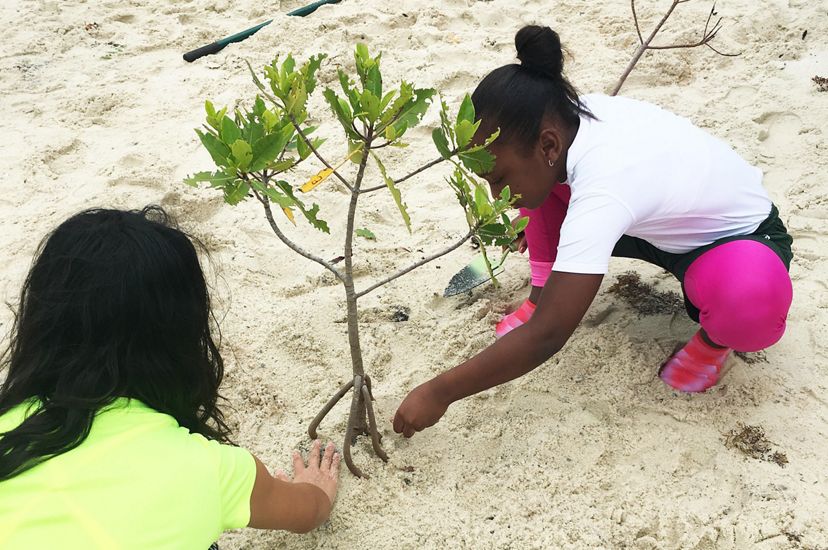 Two school children plant a young mangrove in the sand of a Florida nature preserve.