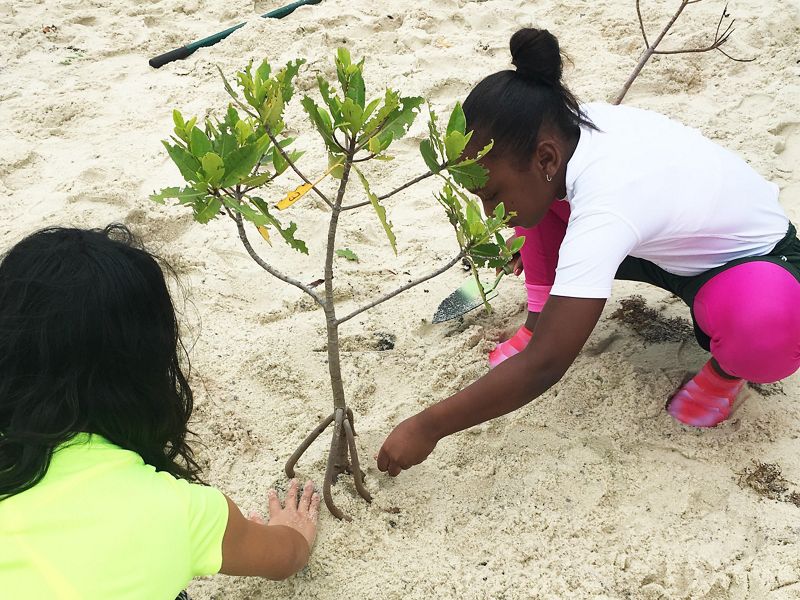 Two school children plant a young mangrove in the sand of a Florida nature preserve.