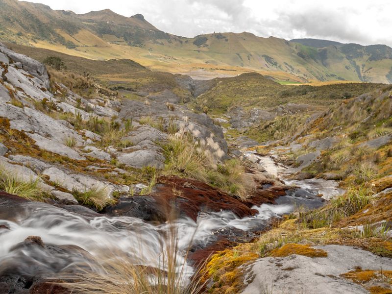 Lecciones de los Páramos: Conservación de cuencas y biodiversidad