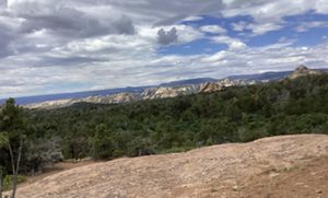 View from a rock outcrop looking out across a tree filled valley towards towering mesas with a dark line of mountain ridges lining the horizon.