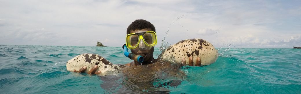 A man wearing a face mask and snorkel floats in the water holding a large sea cucumber in each hand.