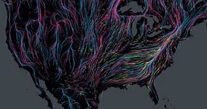 An interactive migration map shows mammal paths in pink, birds in blue, and amphibians in yellow.