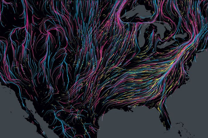 A black map of the United States uses different neon colors to highlight bird migration routes.