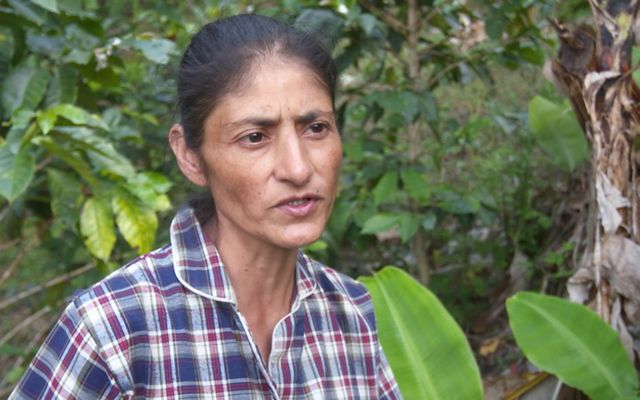 Maria Esmeralda Marcillo lives and farms in the Cauca River Valley, Colombia.