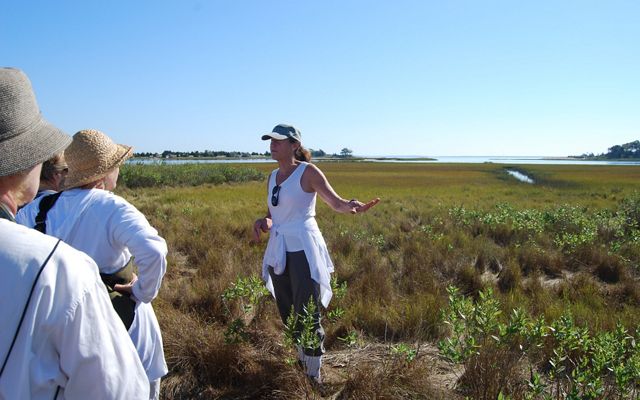 A woman at center wearing a baseball cap, white tank top and black pants leads a tour group of individuals through a tidal wetland.