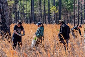 Volunteers planting native seeds.