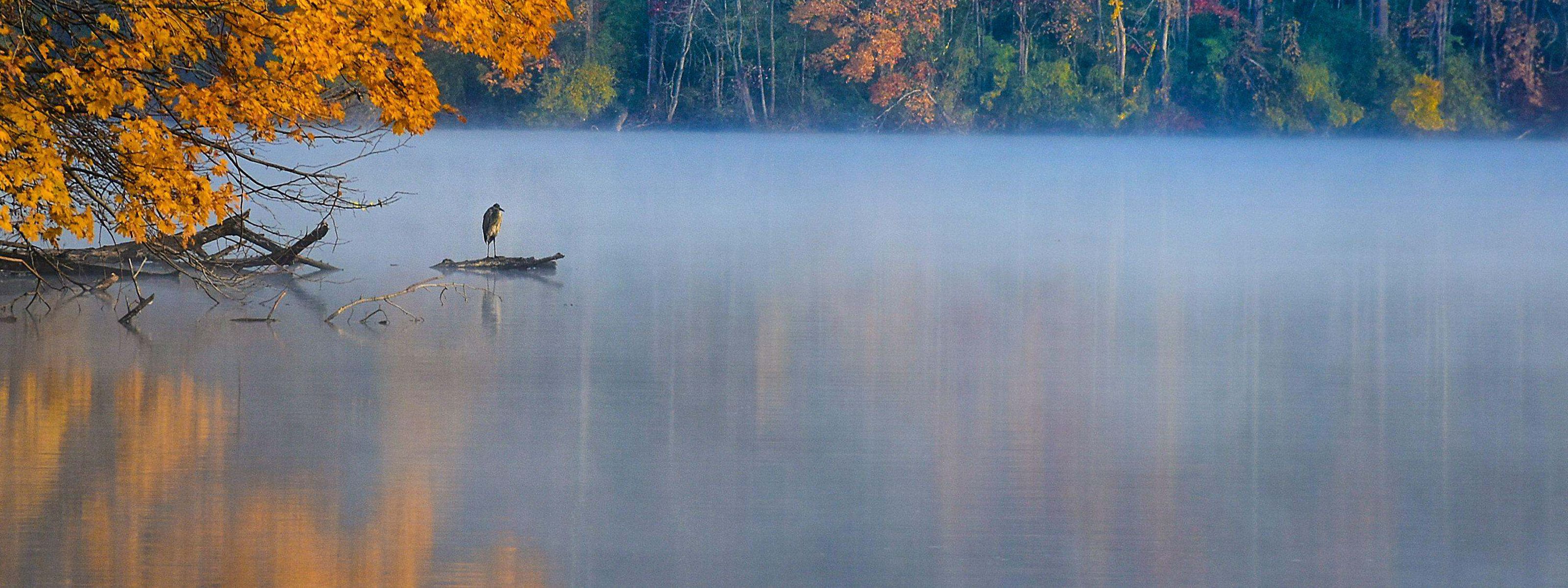 A view of a misty lake surrounded by fall colored trees.